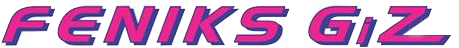 Feniks GiZ